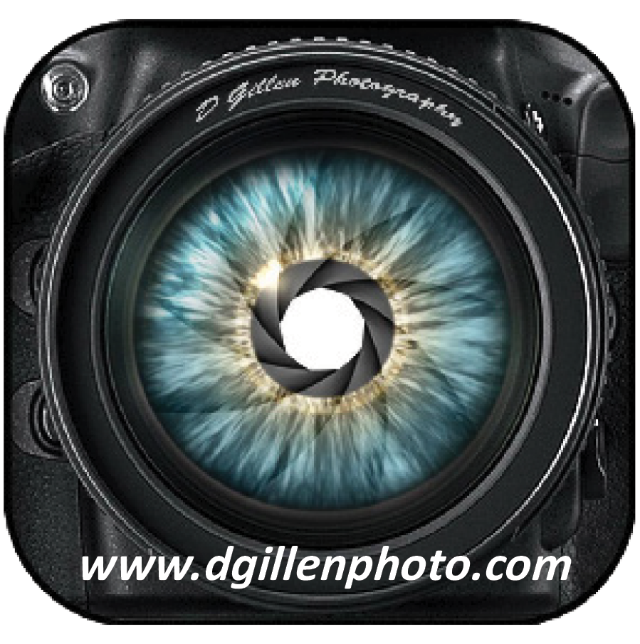dgillenphoto.png